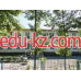 Школы гимназии Школа-Гимназия №81 в Алматы - на портале Edu-kz.com