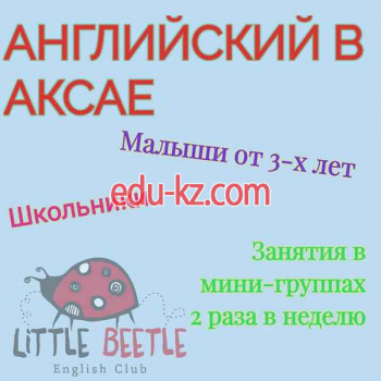 Foreign languages Little Beetle - на портале Edu-kz.com