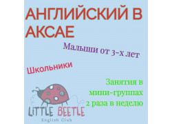 Little Beetle