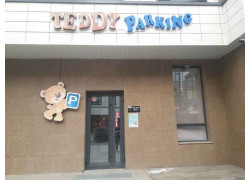 Teddy Parking
