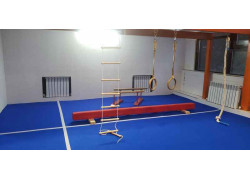 Спортивная гимнастика для детей Gymnast Kz