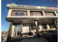Amity Academy