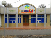 Образовательно-развивающий центр IntelleCiTy Образовательно-развивающий центр IntelleCiTy