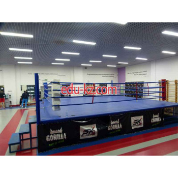 Sports training СК Боксинг - на портале Edu-kz.com